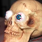 Halloween6_low.jpg